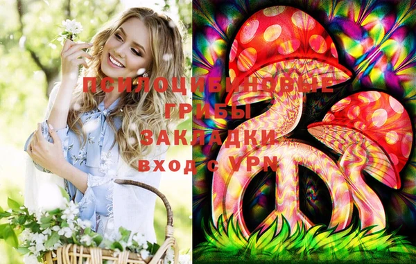 сатива Бугульма