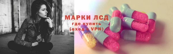 сатива Бугульма