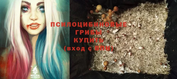 круглые Богородицк