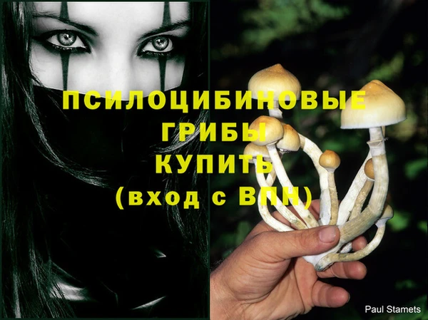 скорость Богородск