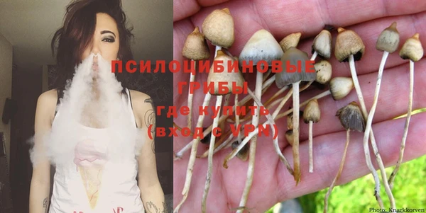 круглые Богородицк