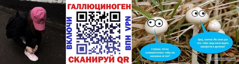 Галлюциногенные грибы Psilocybe  купить наркотик  Михайловск 